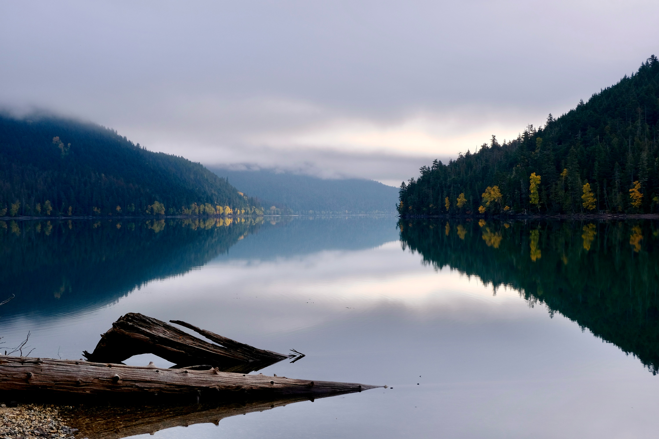 Perfect Fishing Conditions